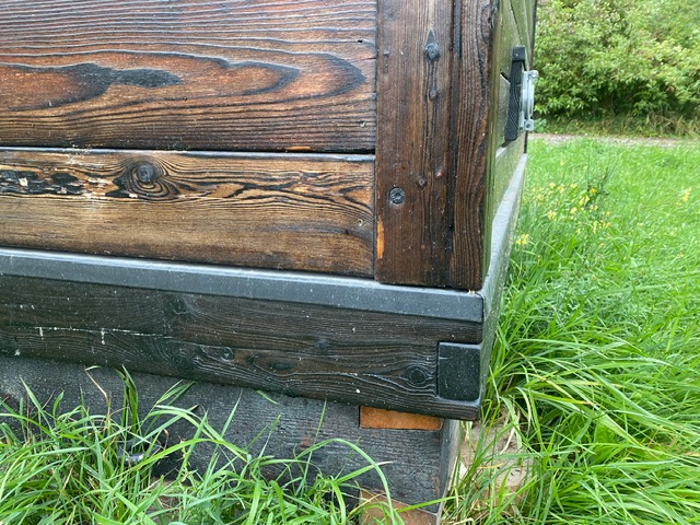 Golden Hour Modern photo 8